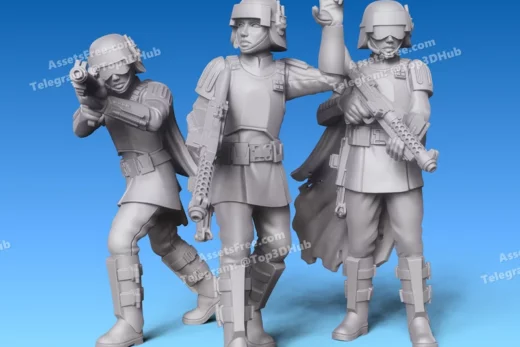 Republic auxilary officer