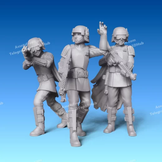 Republic auxilary officer