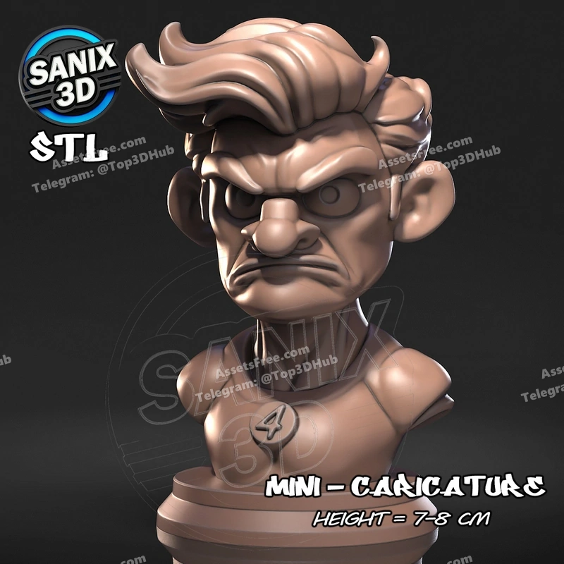 Sanix mini mister fantastic