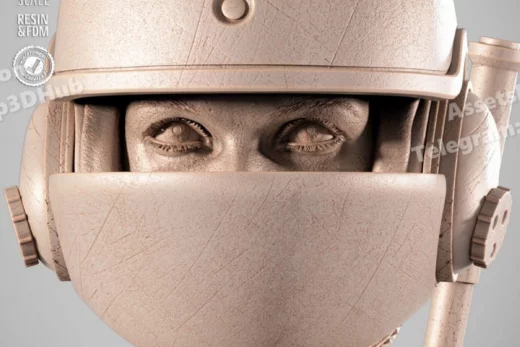 Sw3d jyn erso portrait bust