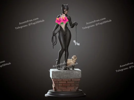 Catwoman nsf