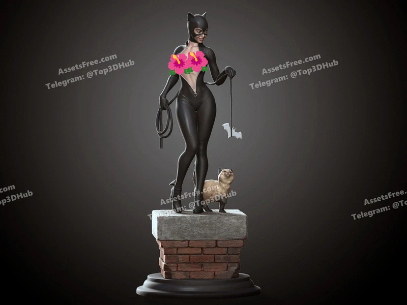 Catwoman nsf