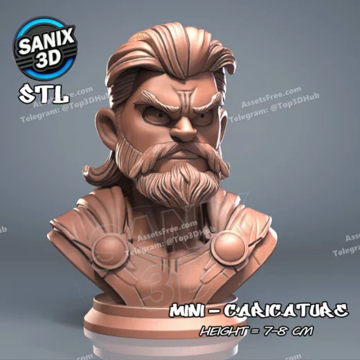 Sanix mini thor