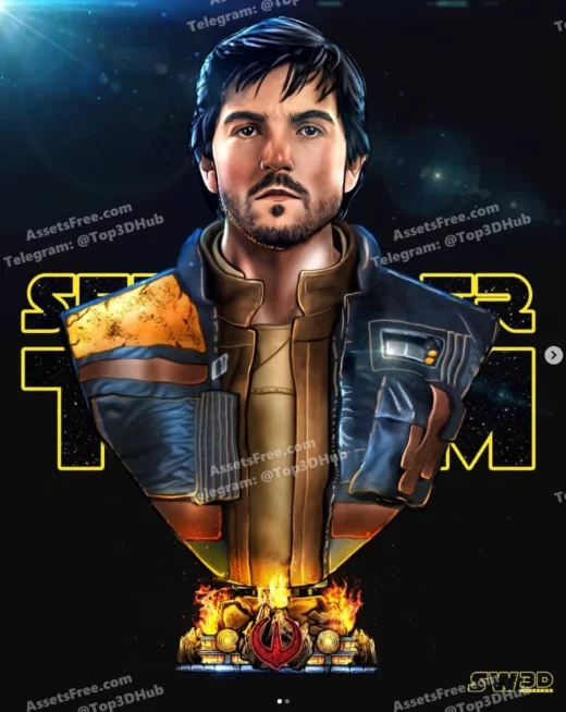 Sw3d cassian andor portrait bust