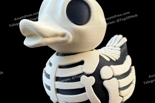 Duck skelenton multi colour