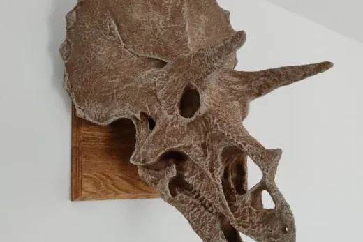 Giant triceratops head model files