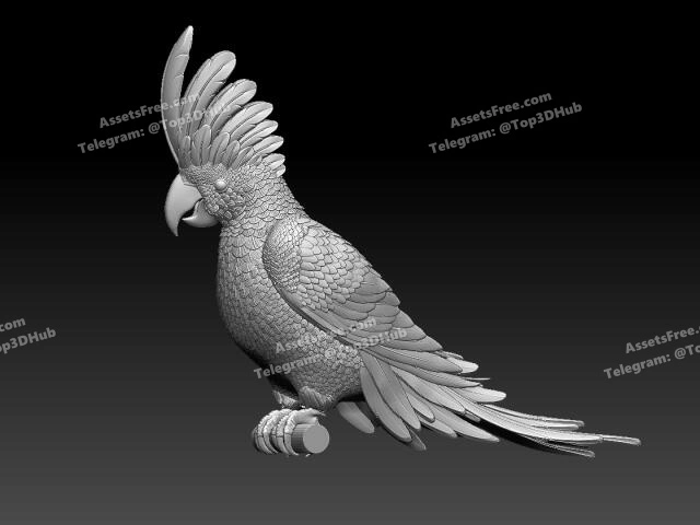 parrot-cacadu – STL 3D Print Model | AssetsFree.com Parrot cacadu