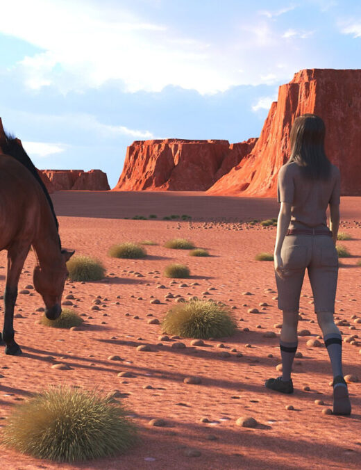 AP Modular Wadi Desert