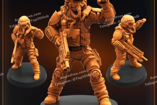 DEMOCRACY TROOPER HELL DUTIFUL