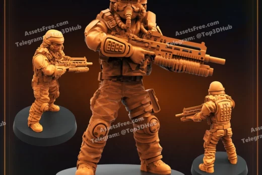 DEMOCRACY TROOPER HELL DUTIFUL