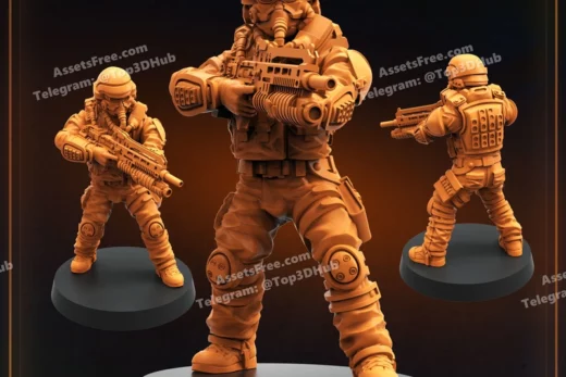 DEMOCRACY TROOPER HELL DUTIFUL