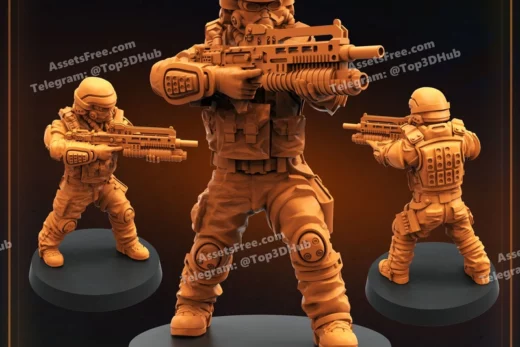 DEMOCRACY TROOPER HELL DUTIFUL