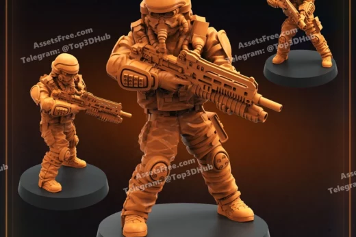 DEMOCRACY TROOPER HELL DUTIFUL