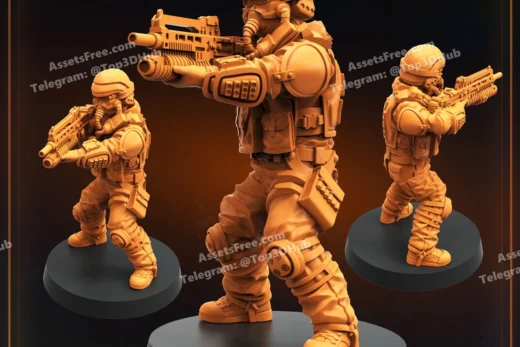 DEMOCRACY TROOPER HELL DUTIFUL