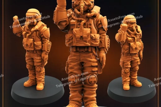 DEMOCRACY TROOPER HELL DUTIFUL