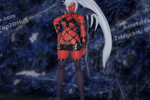 Kneesocks Panty & Stocking SWF