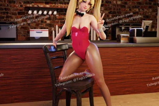 QB Works Bunnygirls v1