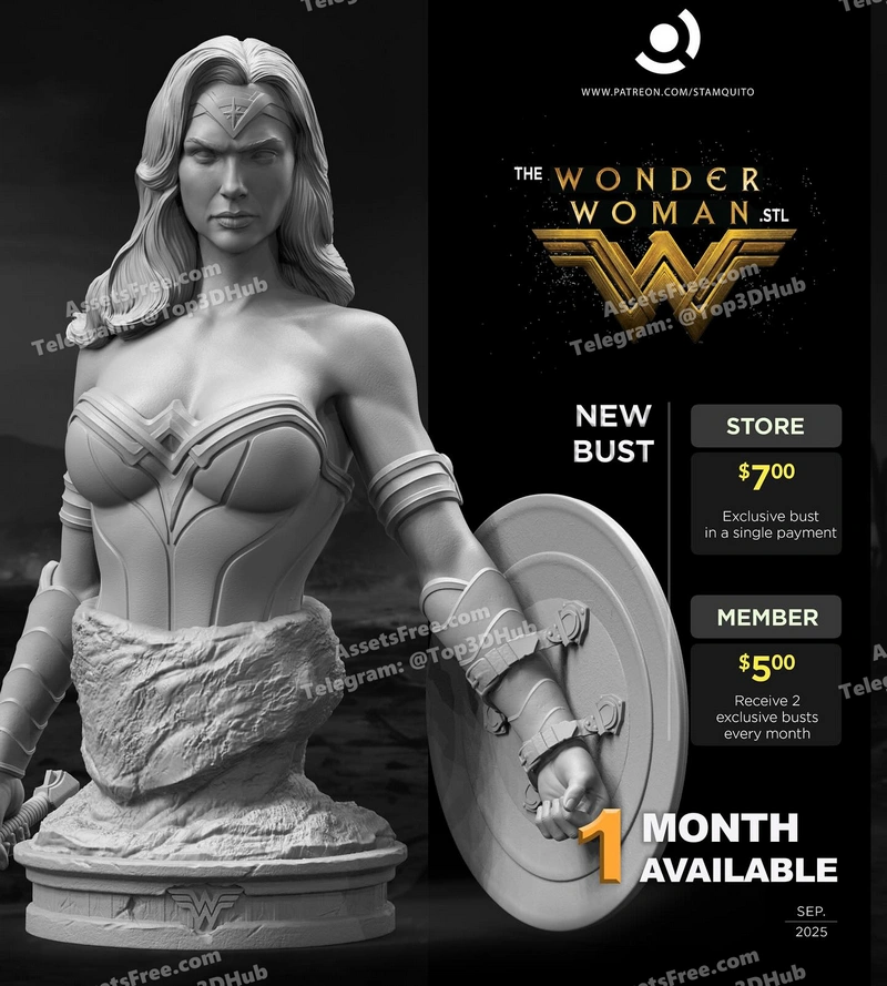 Stalyn Quito Wonder Woman Bust
