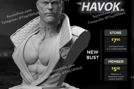 Stayln Quitto Havok Bust