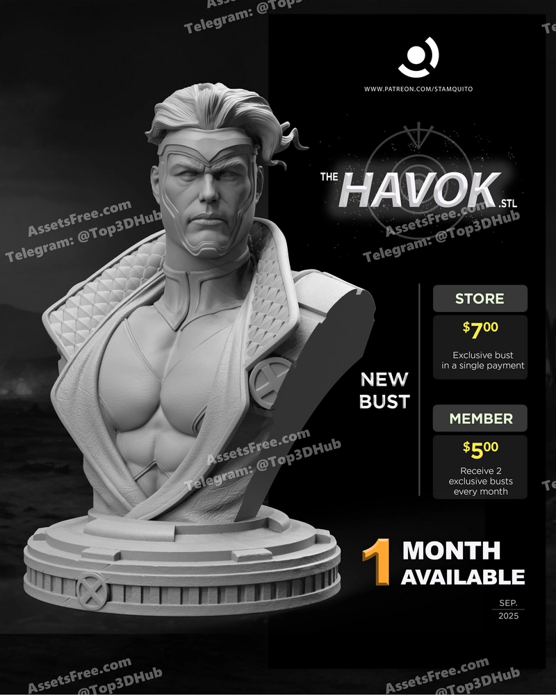 Stayln Quitto Havok Bust