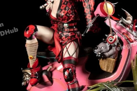 XM Studios harley quinn ninja