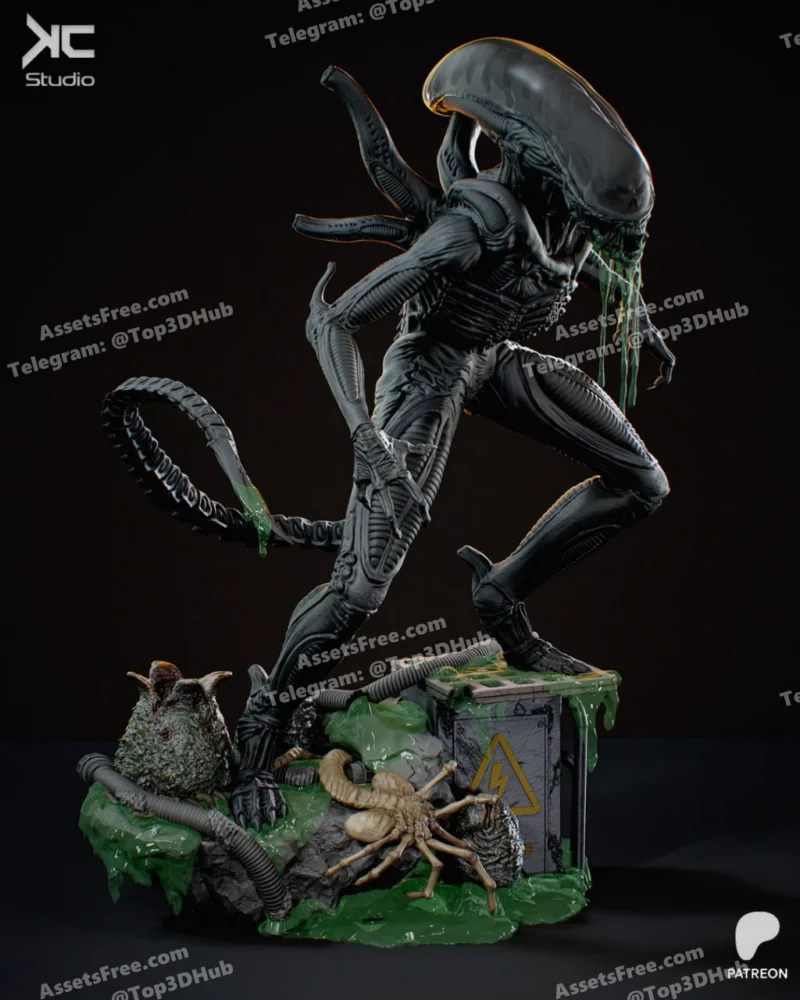 Xenomorph