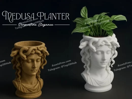 Medusa+planter stls