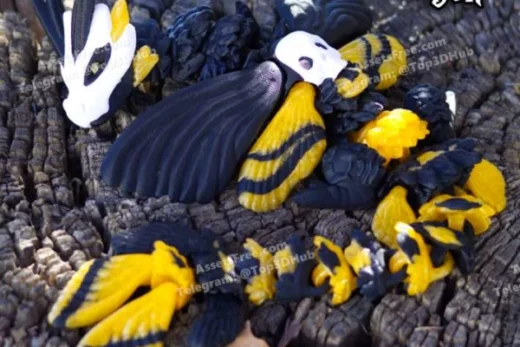 Cinderwing3D+BABY+Death's head+Moth+Dragon