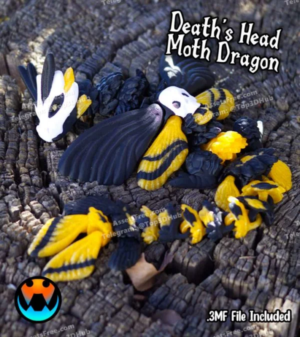 Cinderwing3D+BABY+Death's head+Moth+Dragon