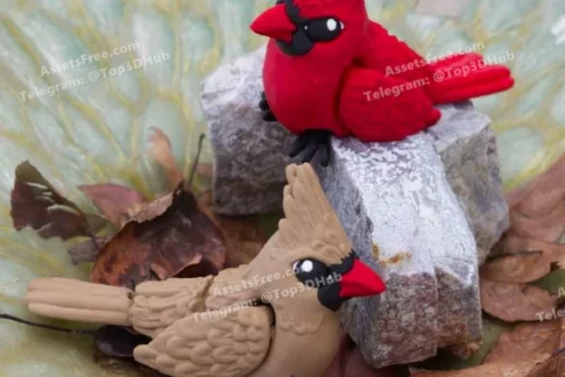 Cinderwing3D+Tiny+Cardinal