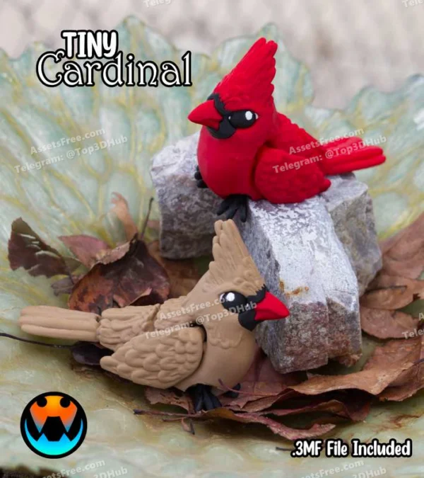 Cinderwing3D+Tiny+Cardinal