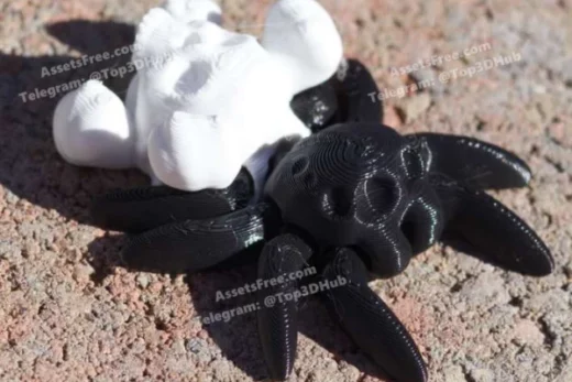 Cinderwing3D+Tiny+Spider+Crossbones