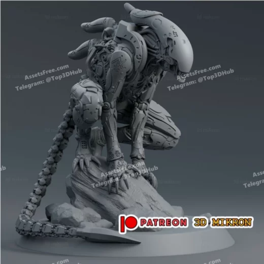 Dennys Wang Xenoborg