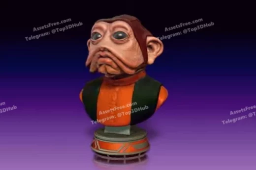 Hex3D NienNunb 1 2Bust Color