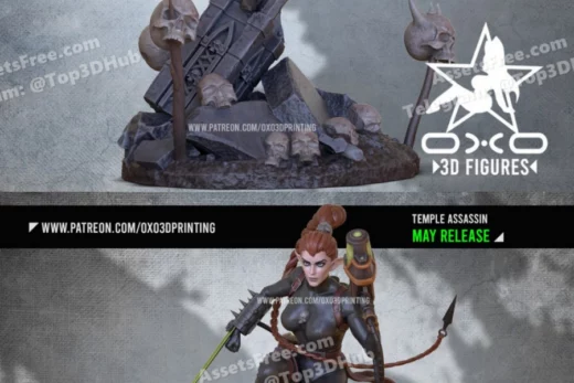 OXO3D CuleX Temple Assassin+NFSW
