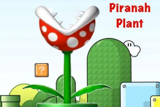 Piranha Plant