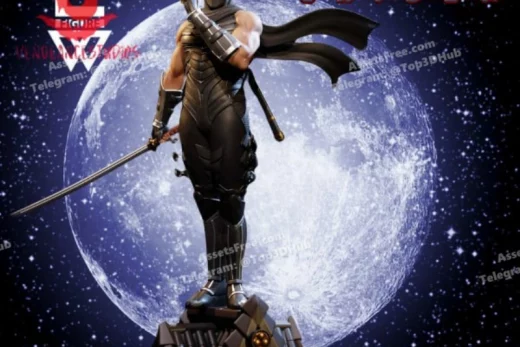 Ryu Hayabusa Ninja gaiden