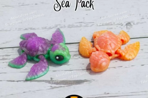 Sea+Turtle+ +Cinder+Hatchling