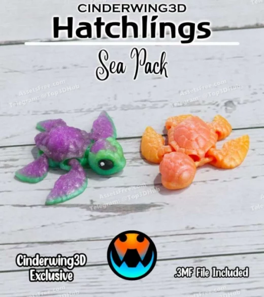 Sea+Turtle+ +Cinder+Hatchling