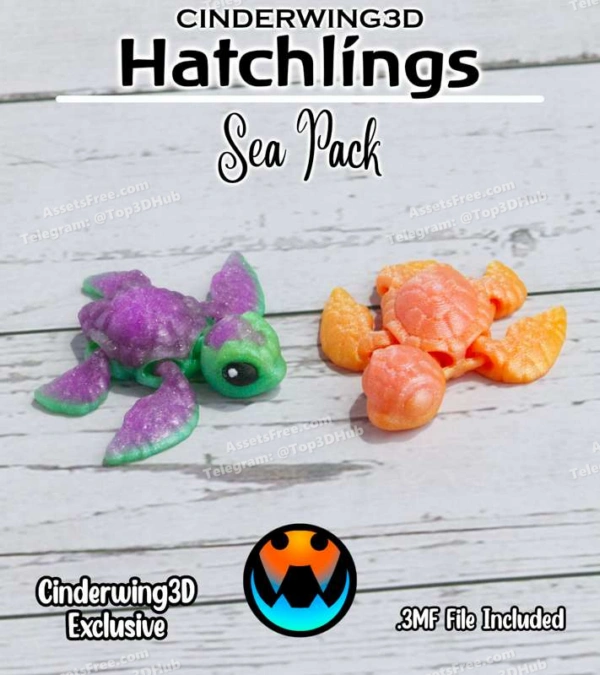 Sea+Turtle+ +Cinder+Hatchling