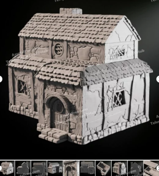 Medieval fantasy house i