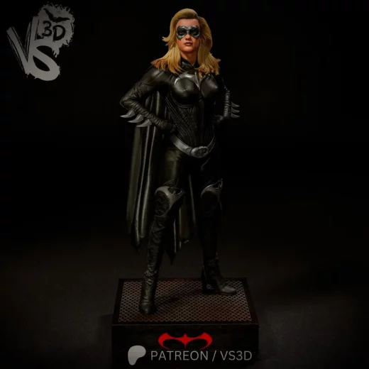 VS3D Batgirl Batman & Robin
