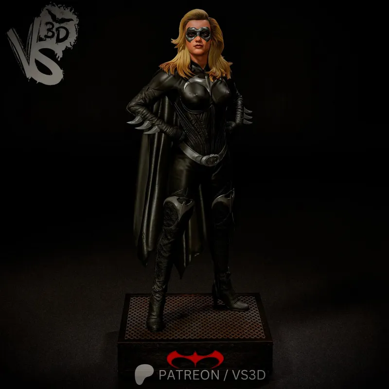 VS3D Batgirl Batman & Robin