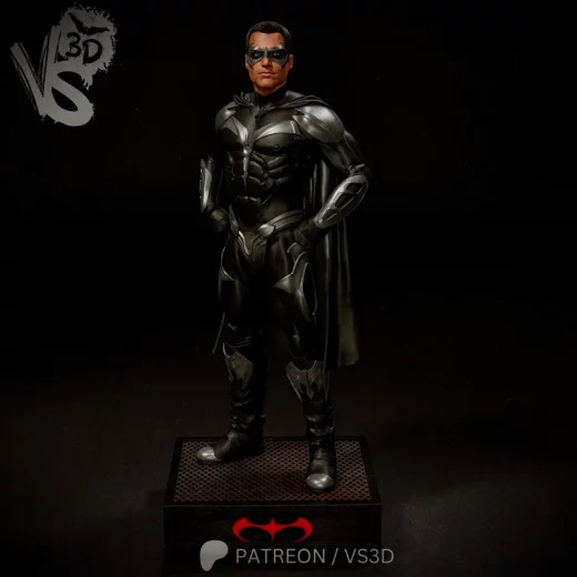 VS3D Robin Batman & Robin