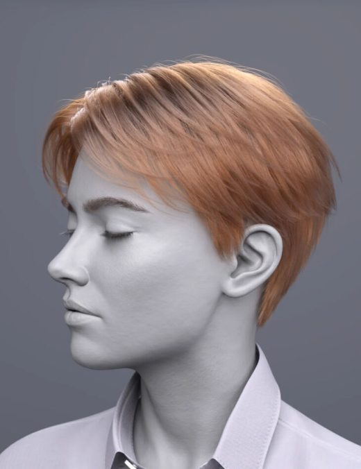DForce FV Layered Idol Hair for Genesis