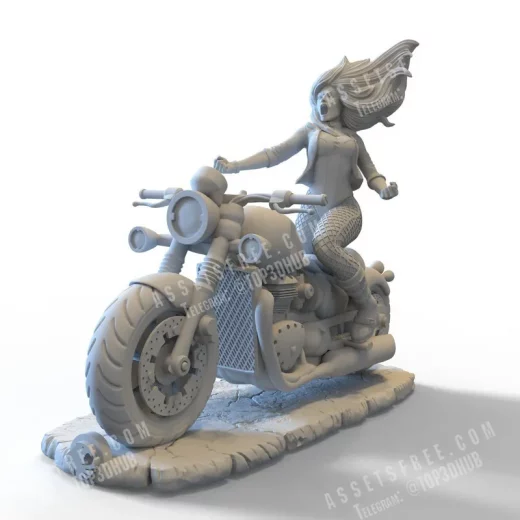 CG Pyro Digital Artist Black Canary from DC Comics Bust