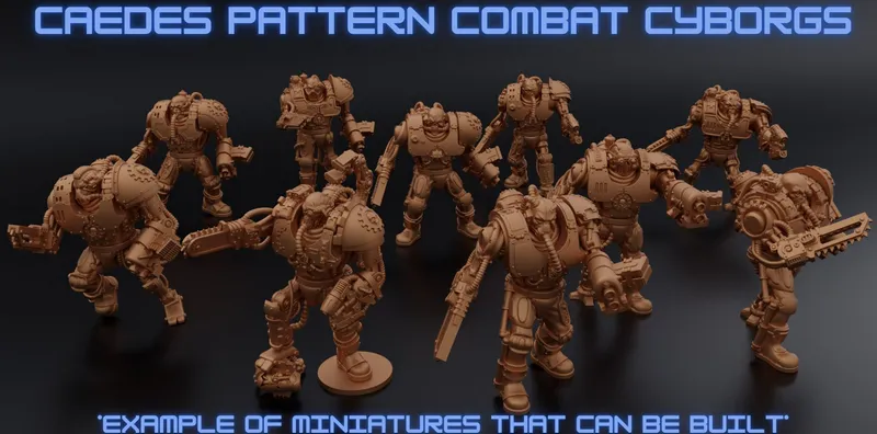 Caedes Pattern Combat Cyborgs