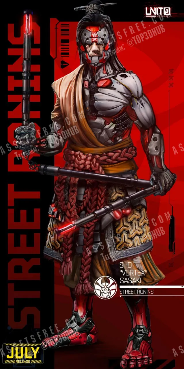 Cyberpunk ? Sho Vortex Sasaki ? Street Ronins