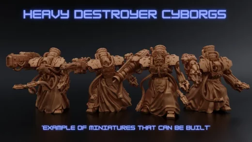 Heavy Destroyer Cyborgs