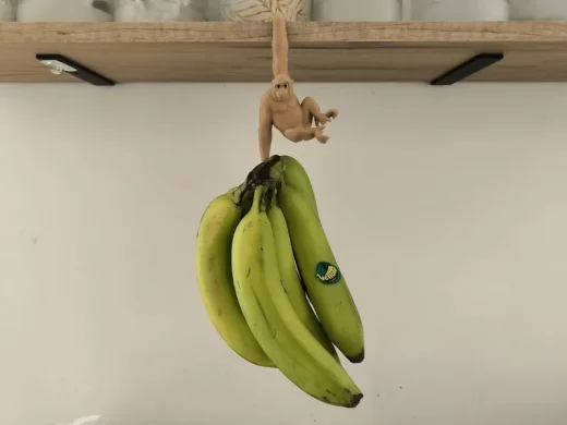 Monkey+1.3 stls